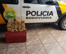 Quase 20 quilos de maconha são apreendidos pelo BPRv em Palotina (PR)