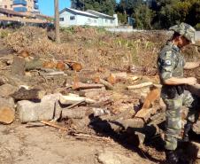 Trio é encaminhado pela Polícia Ambiental por corte de árvores em uma área de preservação ambiental

