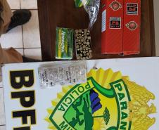 PM faz apreensão de drogas, munições e contrabando na fronteira do estado
