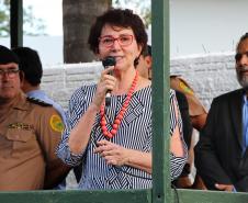 Professora Ana Seres Trento Comin Secretária de Estado da Educação