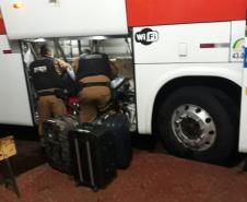 BPFron faz operação e apreende quatro quilos de maconha no Sudoeste do estado