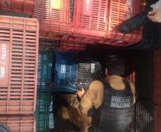 Em Cascavel, Patrulha Rural apreende 360 quilos de drogas