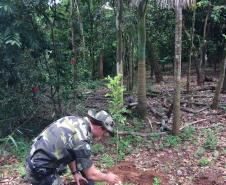 Policiais ambientais participam da Faxina Ecológica no Rio Piquiri, no Noroeste do estado
