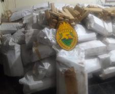 Três toneladas de maconha são apreendidas no Oeste do Paraná