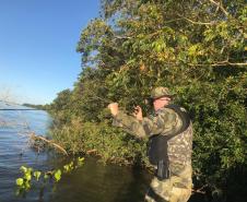 Redes de pesca e espinhéis são apreendidos pela Polícia Ambiental em Santa Helena (PR), no Oeste do estado