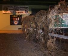 Redes de pesca e espinhéis são apreendidos pela Polícia Ambiental em Santa Helena (PR), no Oeste do estado