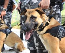 Colombo, 13 de dezembro de 2018,  Inauguração Memorial para Cães