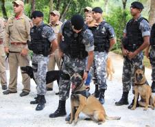 Colombo, 13 de dezembro de 2018,  Inauguração Memorial para Cães