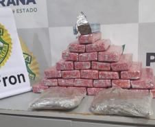 BPFron retira de circulação mais de 19 quilos de maconha no Oeste do estado