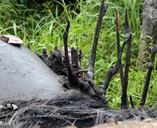 Dupla de policiais militares contém incêndio com baldinho e salva idosa de 74 anos com dificuldades de locomoção