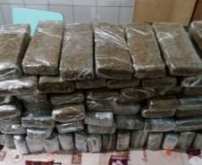 No Oeste do Paraná, atuação da Polícia Militar no último fim de semana resulta em 64 quilos de maconha apreendidos 