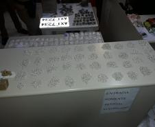 Drogas avaliadas em R$ 100 mil são apreendidas pela PM após denúncia em Colombo (RMC)