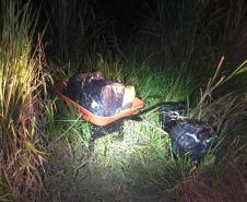 BPFron apreende 90 quilos de maconha em Guaíra (PR)