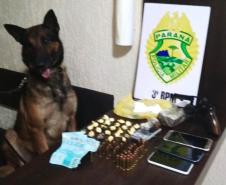 Ações distintas resultam na apreensão de drogas, veículos e até cachorros utilizados na prática de caça em Pato Branco (PR)