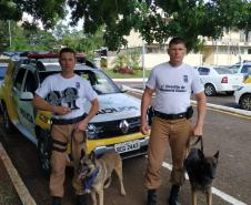 Cão Thor conquista o pódio do 1º Desafio de Eficiência Canina, no Oeste do estado