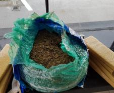 Polícia Rodoviária Estadual apreende mais de 12 quilos de maconha no Oeste do estado