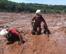 Bilhete de gratidão emocionou bombeiro do Paraná em Brumadinho 