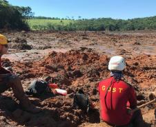 Bilhete de gratidão emocionou bombeiro do Paraná em Brumadinho 