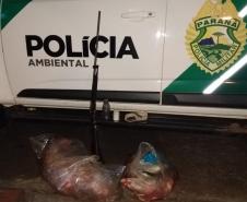 Mais de 27 quilos de carne de capivara são apreendidos e um homem foi preso por porte ilegal de arma no Oeste do estado