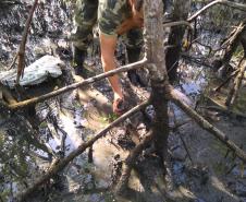 BPAmb-FV apreende 1600 lacinho utilizados para captura de caranguejos-uçá no Litoral do estado