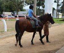 Pinhais, 05 de Abril de 2019. Inauguração Haras Palmital.