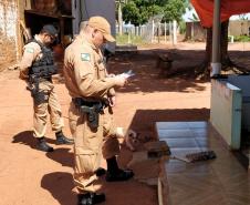 Sete municípios do Noroeste do estado contam com o reforço no policiamento com a ROTAM Rural