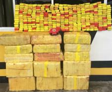 Mais de meia tonelada de maconha são apreendidas pela Polícia Rodoviária na Lapa (PR)