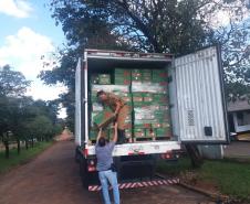 BPRv apreende quase uma tonelada de maconha no Norte do estado