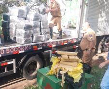 BPRv apreende quase uma tonelada de maconha no Norte do estado