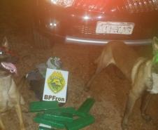Droga que renderia mais de R$ 12 mil para o crime é apreendida pelo BPFron no Oeste do estado