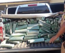PM apreende caminhonete com 1,5 tonelada de maconha em São João do Ivaí (PR)