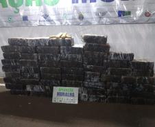 Durante ações da Operação Junho Paraná sem Drogas, BPFron retira de circulação quase uma tonelada de maconha em uma única abordagem no Oeste do estado
