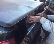 BPAmb-FV apreende diversas armas de fogo e resgata cães ao prender cinco homens em Cruzeiro do Oeste (PR) 
