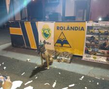 Policiais rodoviários retiram de circulação 55 quilos de maconha, que tinha como destino a cidade de São Paulo