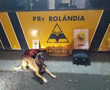 Em regiões distintas no estado, BPRv apreende mais de 36 quilos de maconha e encaminha dois homens e uma adolescente