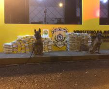 Canil do 10º Batalhão da PM localiza mais de 260 quilos de crack e cocaína em apoio à PRF
