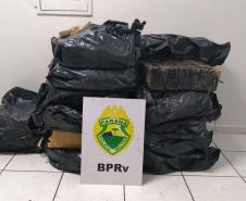 Mais de meia tonelada de maconha é apreendida pela PM em Londrina (PR) 