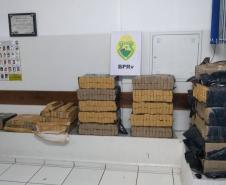 Mais de meia tonelada de maconha é apreendida pela PM em Londrina (PR) 