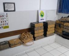 Mais de meia tonelada de maconha é apreendida pela PM em Londrina (PR) 