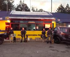 BOPE e PRF evitam que 82 quilos de maconha cheguem a Curitiba ao abordar ônibus de linha em São Luiz do Purunã (PR)