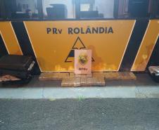 Canil do BPRv apreende mais de 55 quilos de maconha em bagageiro de ônibus em Londrina (PR); dois homens são presos