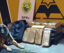 Em operações diferentes, BPRv apreende maconha e diversos cosméticos sem procedência legal em Rolândia (PR) 