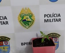 Em ações distintas, BPFron apreende duas armas de fogo e maconha no Oeste do estado