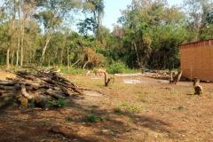 Operação em área de preservação ambiental permanente identifica mais de 150 moradias irregulares próximo ao Lago de Itaipu