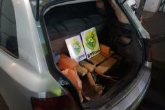 BPFron apreende mais de 42 quilos de maconha em Toledo (PR)