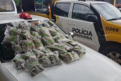 BPRv apreende 14,2 quilos de maconha na PR 180, em Cascavel