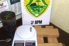 Em situações distintas, PM encaminha três pessoas e apreende quase cinco quilos de maconha e uma arma de fogo