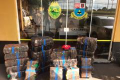 BPRv apreende mais 400 quilos de maconha, recupera carro e prende homem no Oeste do estado