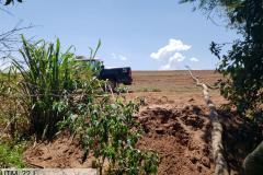 Granja que depositava frangos mortos em área de proteção permanente é autuada em R$ 10 mil pela Polícia Ambiental em Iporã (PR)