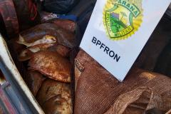 BPFron prende cinco pessoas e apreende quase 100 quilos de peixe roubado no Oeste do estado
